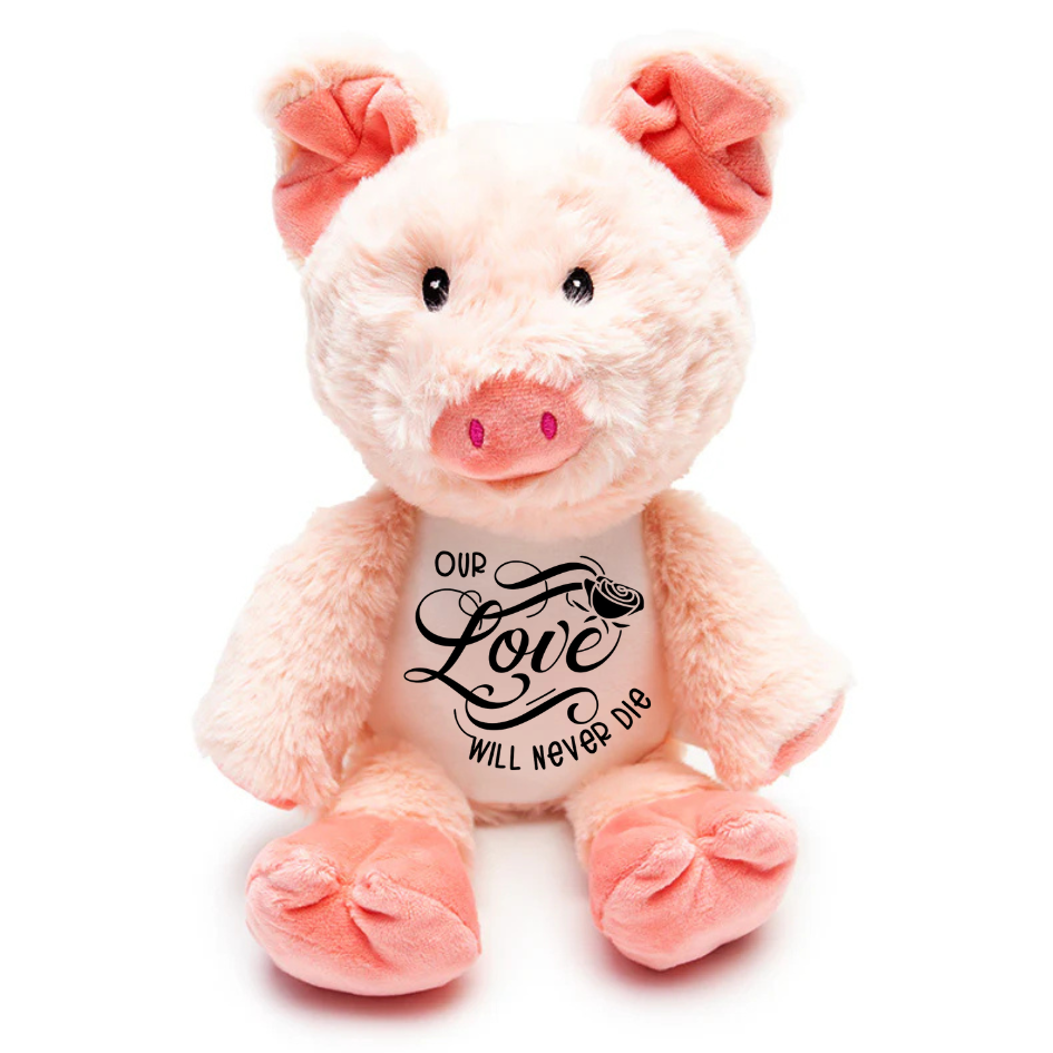 Personalised Teddy Bear-Custom Name or Message Gift
