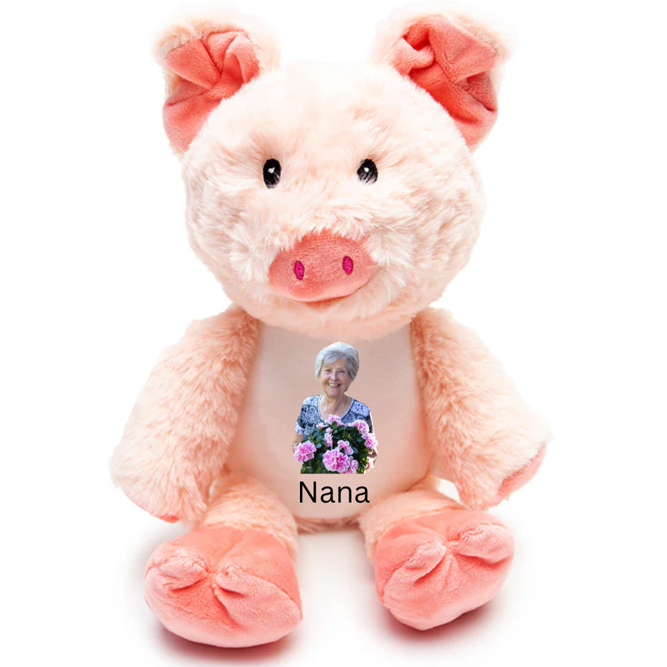 Personalised Teddy Bear-Custom Name or Message Gift